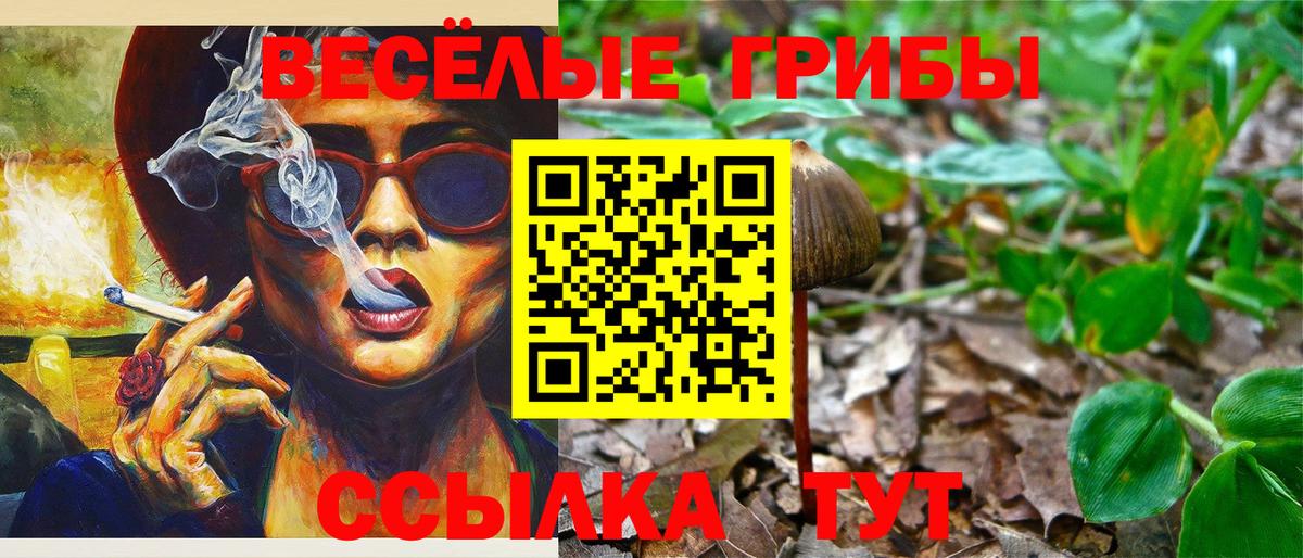 Галлюциногенные грибы мухоморы Бузулук