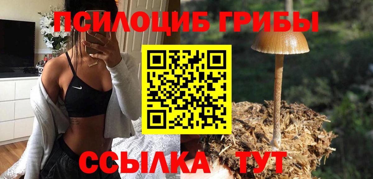 Бузулук  Галлюциногенные грибы Cubensis  купить наркотики цена  Вход с VPN  Галлюциногенные грибы мицелий 